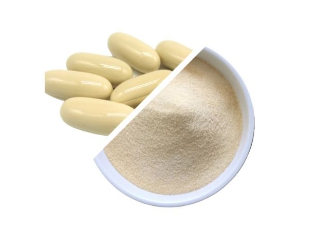 Chicken Collagen Manufacturer in China - YASIN